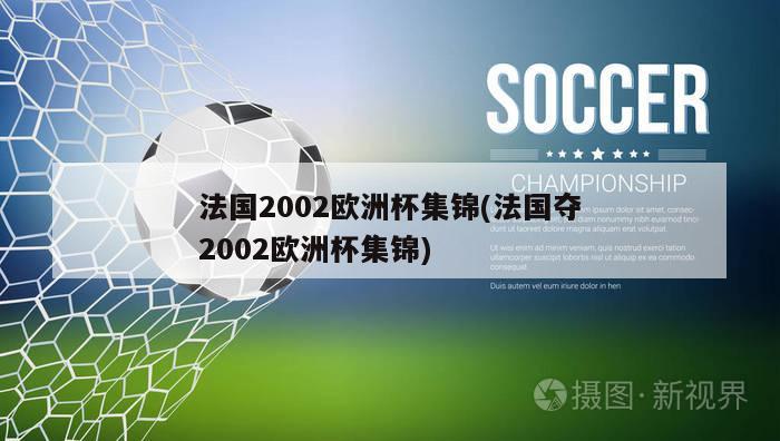 法国2002欧洲杯集锦(法国夺2002欧洲杯集锦)