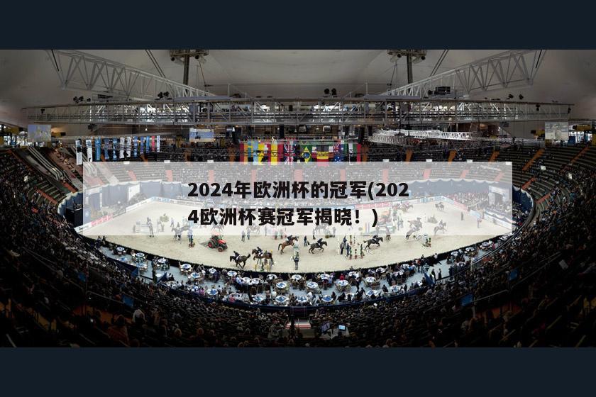 2024年欧洲杯的冠军(2024欧洲杯赛冠军揭晓！)