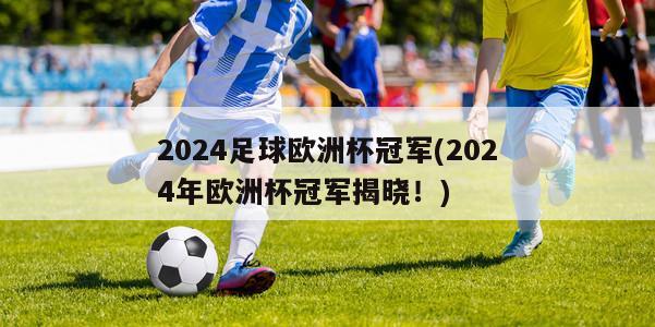 2024足球欧洲杯冠军(2024年欧洲杯冠军揭晓！)