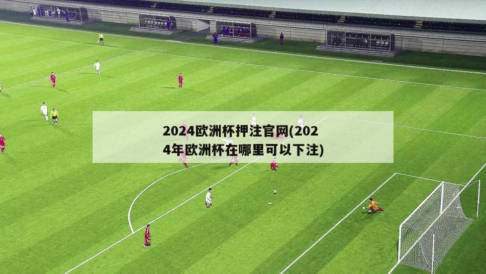 2024欧洲杯押注官网(2024年欧洲杯在哪里可以下注)